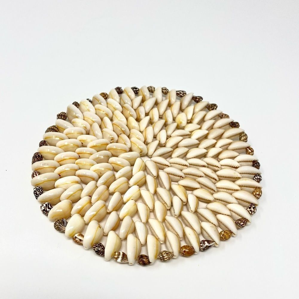 𝅺SHELL Dolly